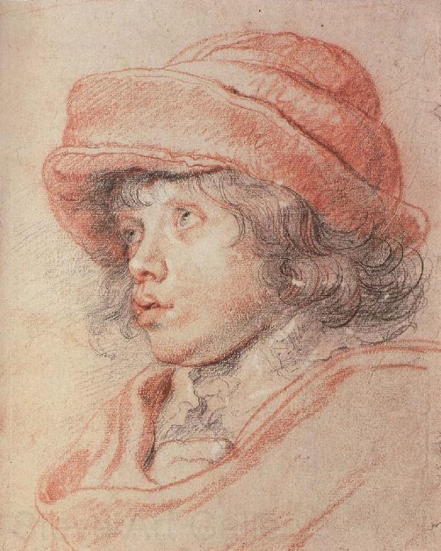 Peter Paul Rubens Nikelaxi wearing the red cap Germany oil painting art